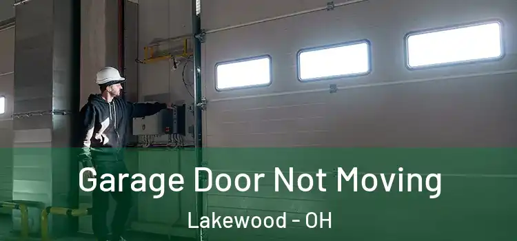  Garage Door Not Moving Lakewood - OH
