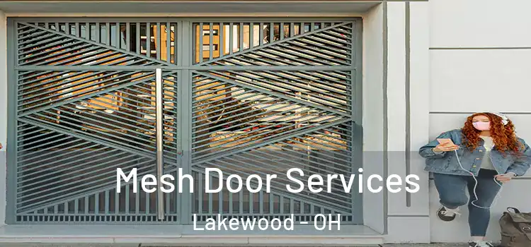 Mesh Door Services Lakewood - OH